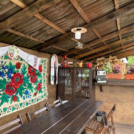 Borşa Casa Ani 빌라 외부 사진