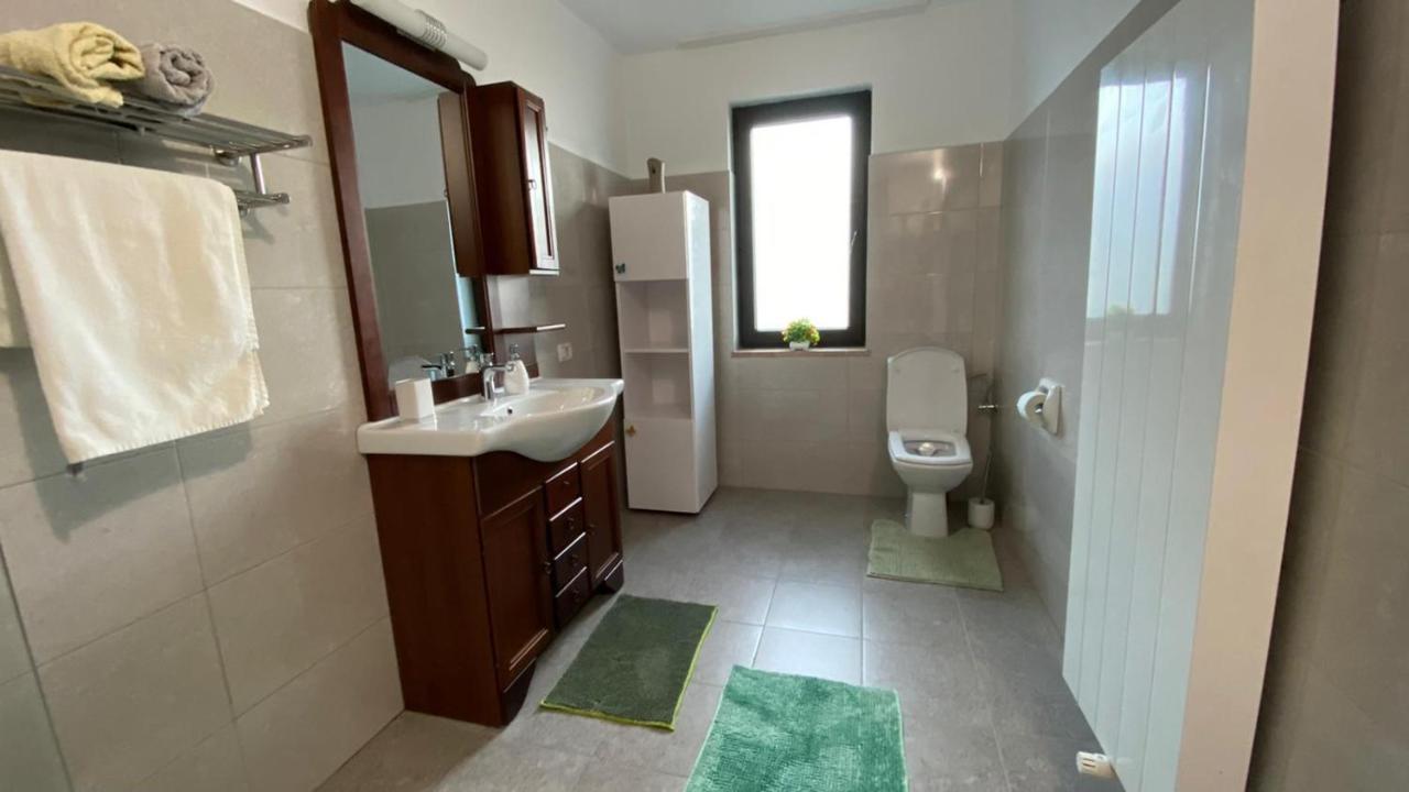 Borşa Casa Ani 빌라 외부 사진