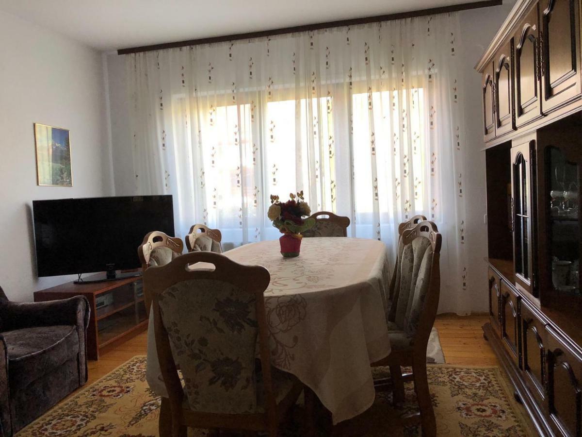 Borşa Casa Ani 빌라 외부 사진