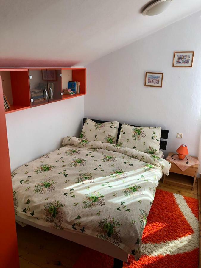 Borşa Casa Ani 빌라 외부 사진